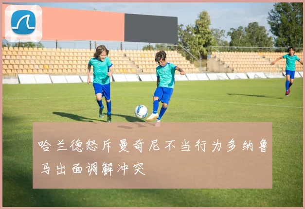 哈兰德怒斥曼奇尼不当行为多纳鲁马出面调解冲突