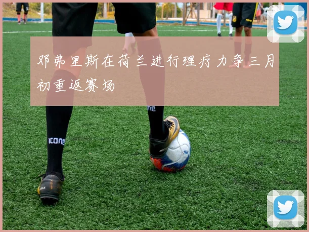 邓弗里斯在荷兰进行理疗力争三月初重返赛场